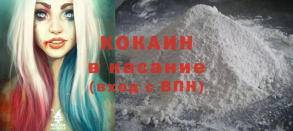 твердый Алексин