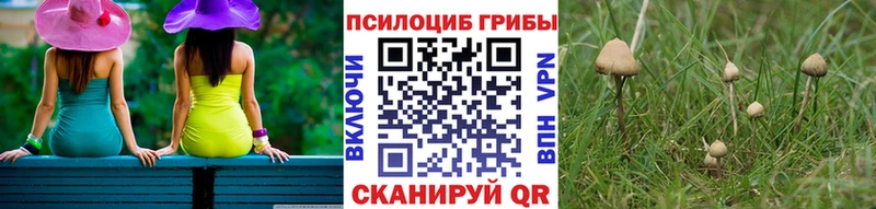 Псилоцибиновые грибы Psilocybe Дыгулыбгей